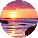 Familie van Niekerk profielfoto